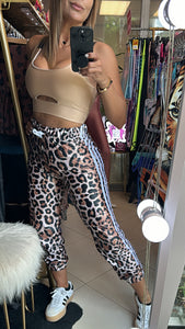 Fashion Jogger leopard with three white stripes