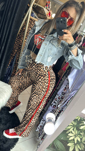 Legging Cotton leopard